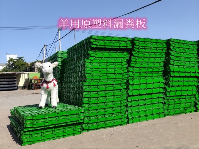 大型羊場選用塑料漏糞板作為羊床的優勢探討